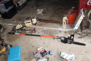 lot 1701 image: Remington Pole Saw