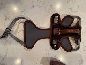 Lot of items for Medium Dog