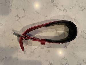Bestia Dog Collar