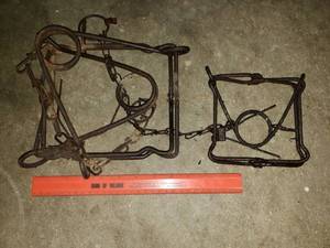 2 Conibear Traps