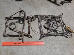 2 Conibear Traps