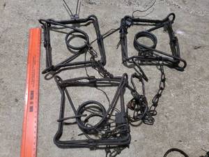 3 Conibear Traps