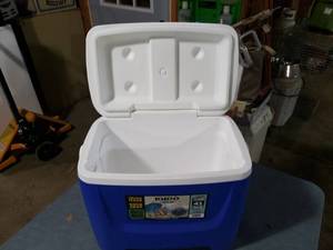 Igloo 28 Quart Cooler