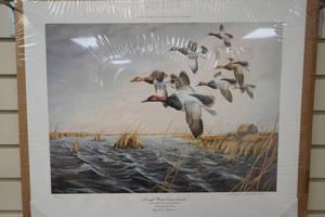 Mark Anderson print Rough Water Canvasbacks