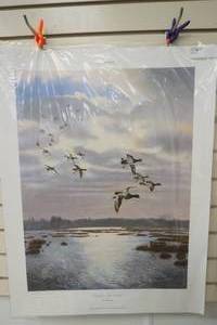 Scott Storm print Rippin the Dawn