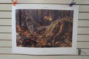 Bruce Miller print Autumn Magic