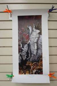 Jerry Gadamus print Downy Delight