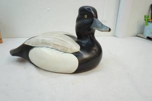 wood bluebill duck