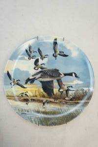 Decorative plates