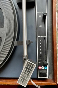 BIC Multiple Play Turntable