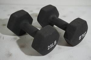 lot 260 image: We Care Pair of Dumbbells - 25 Lb Each