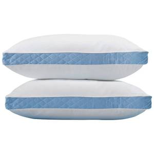 lot 20 image: NEW Density Firm 2 Pack Pillows - Queen