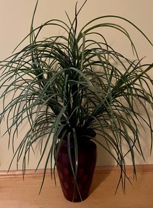 lot 103 image: Inspirational Sign and Faux Plant