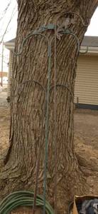 3 Shepards hooks