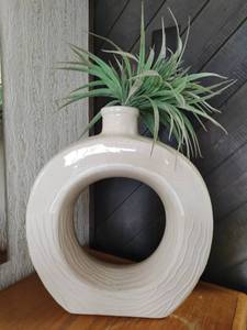 Round Vase with Faux Air Plant