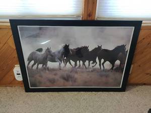 Framed Horse Print