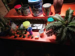 Collection Of Dcor And Kitchenware