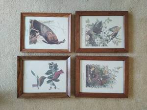 lot 31 image: Four Framed Bird Prints