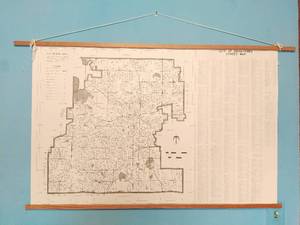 lot 231 image: Vintage Minnetonka Street Map