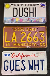 lot 48 image: License Plates and More