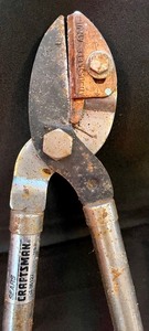 lot 113 image: Yard Clippers
