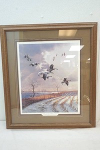 John C. Green print