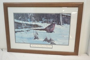 Wilhelm Goebel print