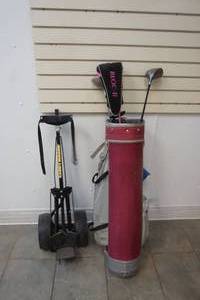 womens golf clubs and caddy