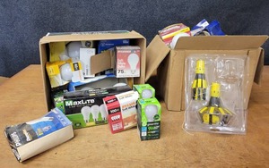 lot 540 image: 2 Boxes of Assorted Light Bulbs - Both LED and Incandescent - NO SHIPPING