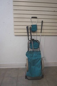 golf clubs with caddy