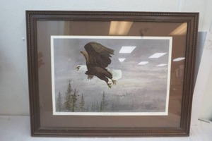 framed Donald Blakney print