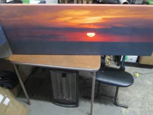 Wall Art open box, scuff 47x16 inch...