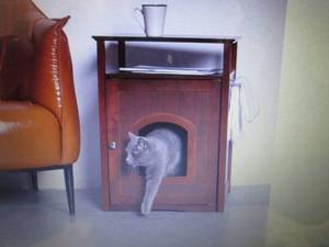 Cat Washroom End Table Walnut open ...
