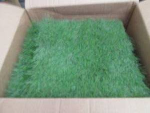 Artificial Grass Squares...