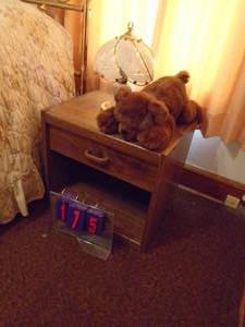 lot 175 image: Small night stand with touch lamp & plush teddy bear. As shown.