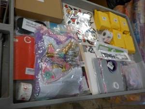 Party and Craft Lot...