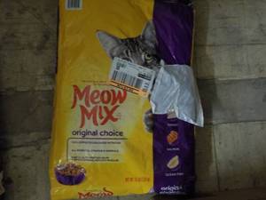 Purina Kit and Kaboodle 22 lb. Bag ...