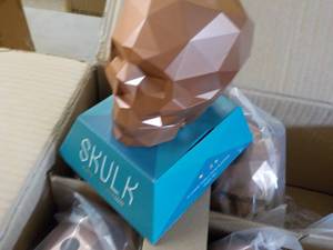 Case of 6 Skull Games...