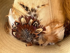 lot 137 image: Fun Western Hat w Feather Band