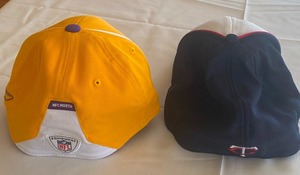 lot 231 image: Minnesota Twins and Minnesota Vikings