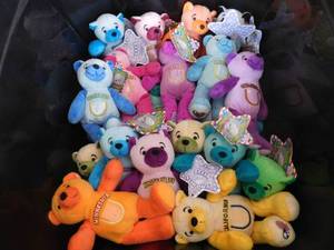 22 State Quarter Beanie Bears