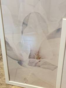 Fun Framed Prints