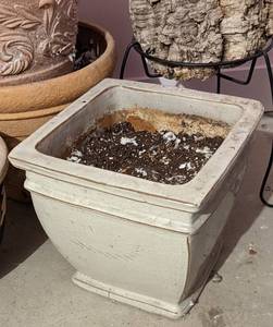 Variety of Planters