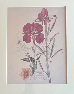 Fabulous Framed Floral Print
