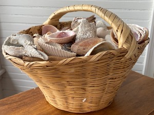 Decorative Basket Filled with a Beautiful Array of Seashells and Jar of Shells