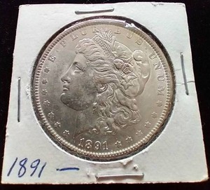 1891 Morgan Dollar