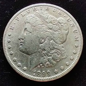 1899-S Morgan Dollar