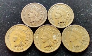 5 Indian Head Pennies