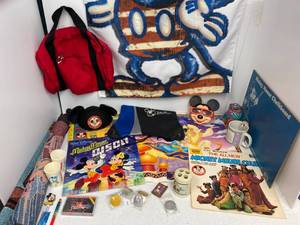 lot 19 image: Disney Group