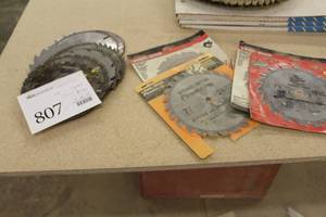 lot 807 image: Lot of (18) Circular Saw Blades
